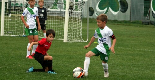 AP GREEN vs DELTA Warszawa (sparing 20202)