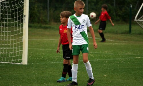 AP GREEN vs DELTA Warszawa (sparing 20202)