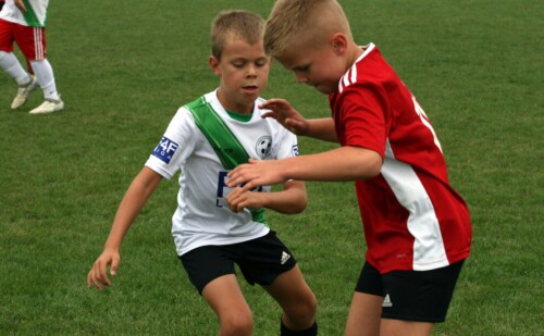 LKS CHLEBNIA vs AP GREEN (sparing 2020)