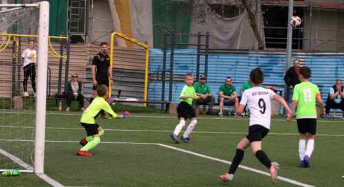 LKS PERŁA ZŁOTOKŁOS vs AP GREEN - rozgrywki E2-2022