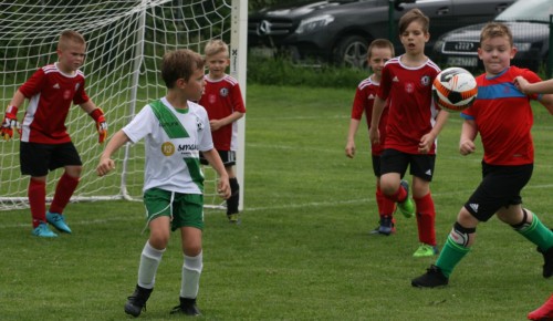 SPARING AP GREEN'12 vs LKS CHLEBNIA-20.06.2020